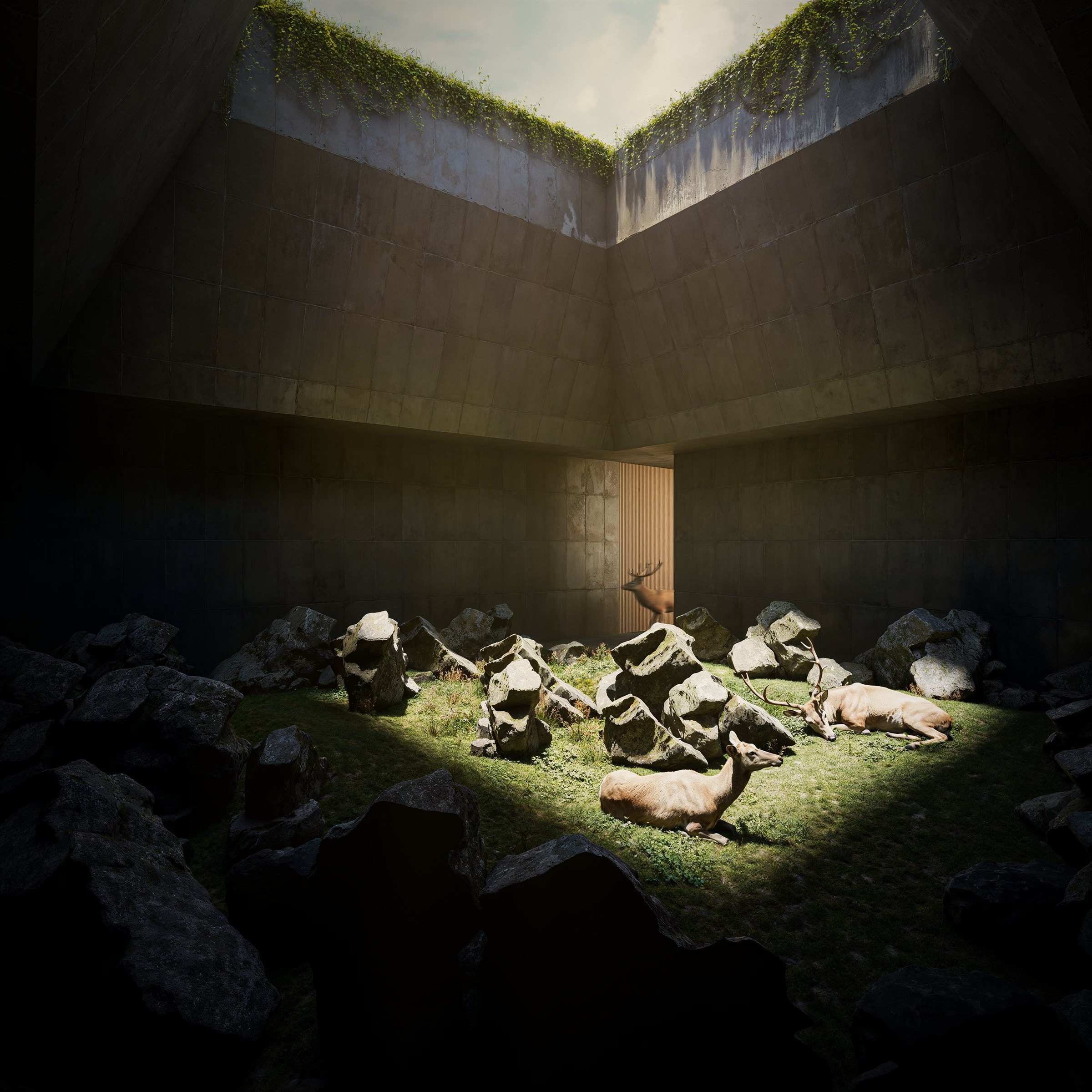 A brutalist concrete cube transformed into a sunlit landscape with plants and deer